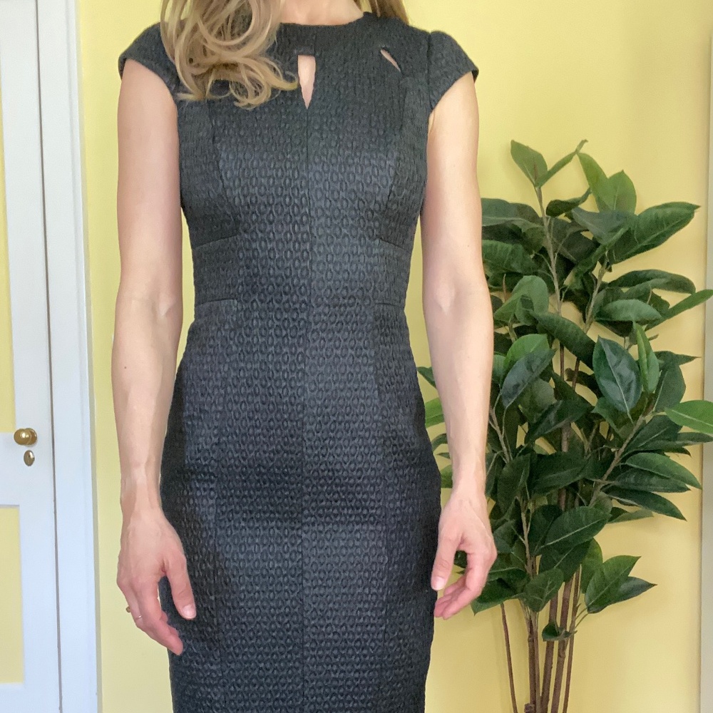 Karen Millen Fitted Dress